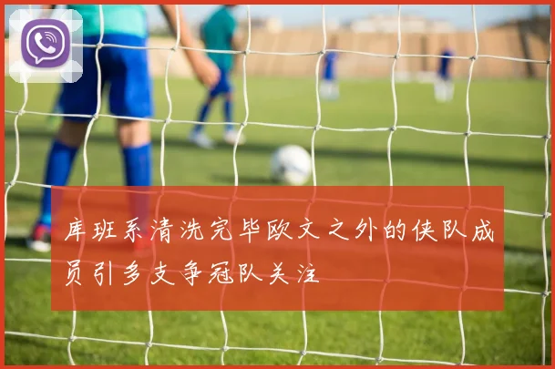库班系清洗完毕欧文之外的侠队成员引多支争冠队关注