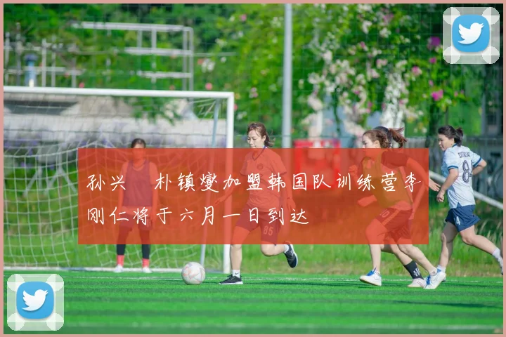 孙兴慜朴镇燮加盟韩国队训练营李刚仁将于六月一日到达
